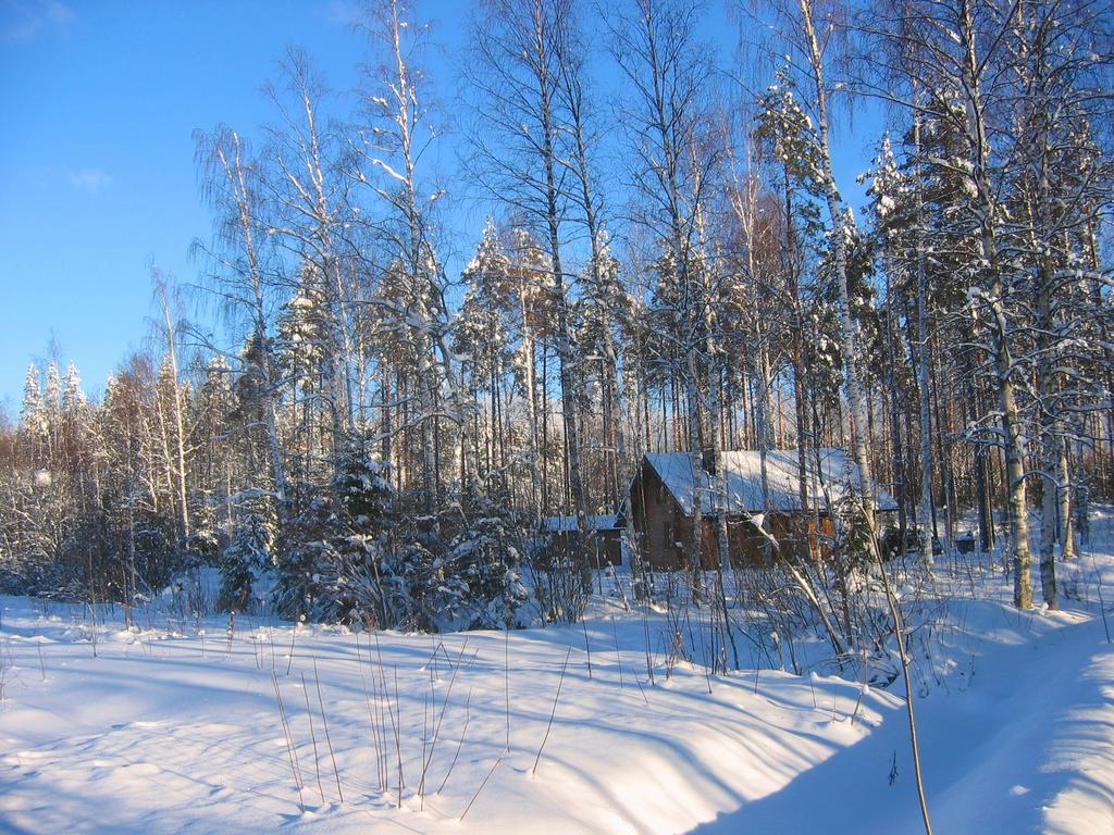 Ruhmaslehto Villa Siikava Buitenkant foto