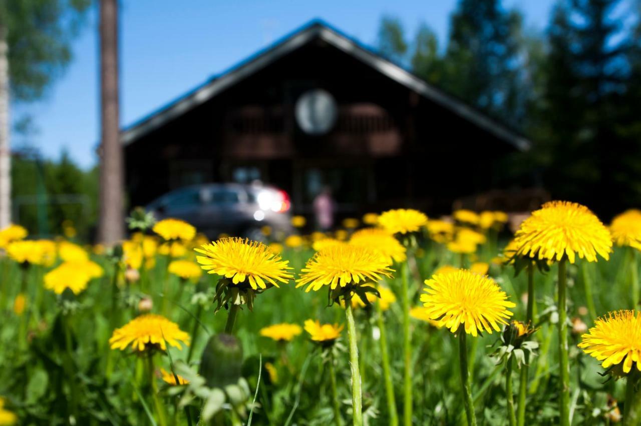 Ruhmaslehto Villa Siikava Buitenkant foto